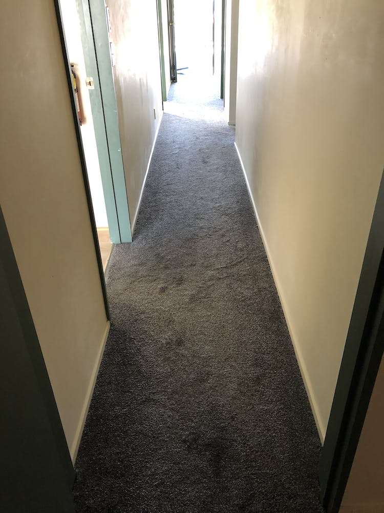 207 Thomas Road Rototuna North_11