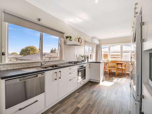 8A Goodwin Avenue Morrinsville_1