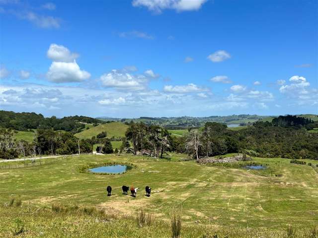 Lot 4 Syd Smith Road Topuni_1