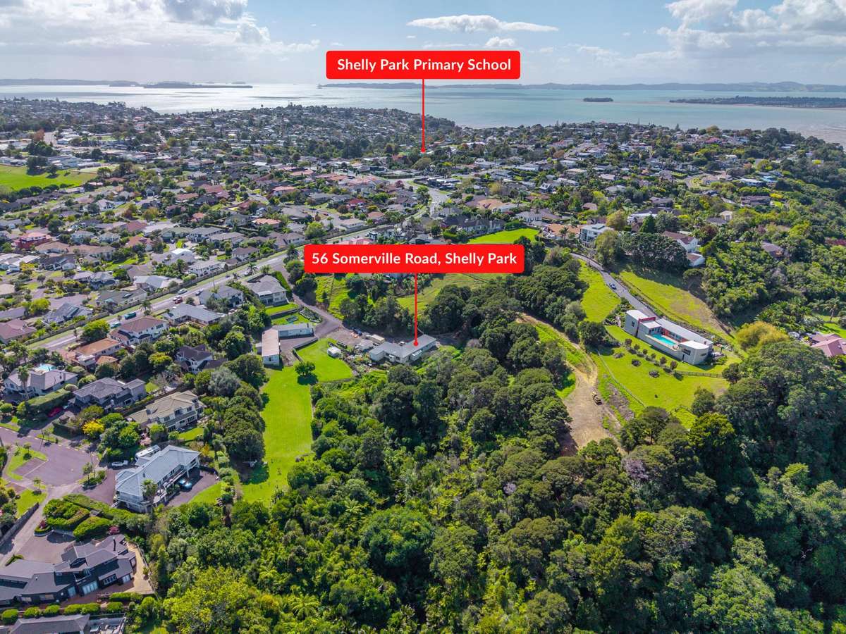 56 Somerville Road_3