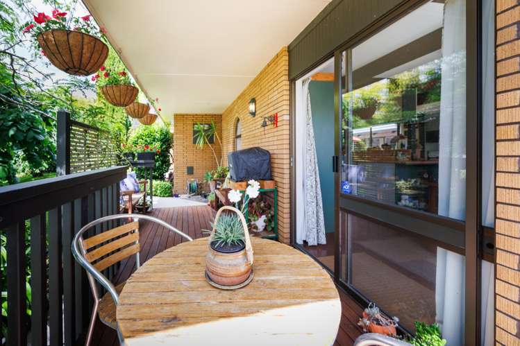 101 Clifton Terrace Fitzherbert_9