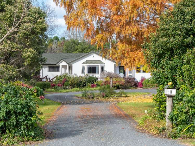 3 Limelight Lane Kerikeri_0