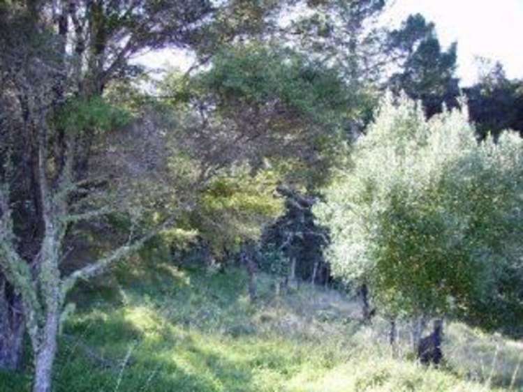 3b Pohutukawa Grove Whitianga_5