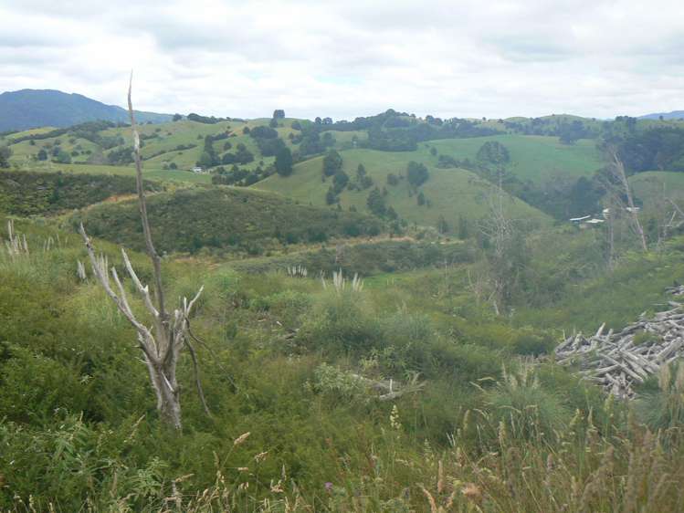 Mangatoetoe Road Kaitaia_7