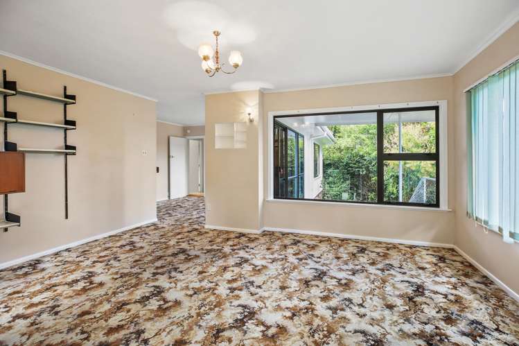 25 Alex Telfer Drive Otorohanga_2