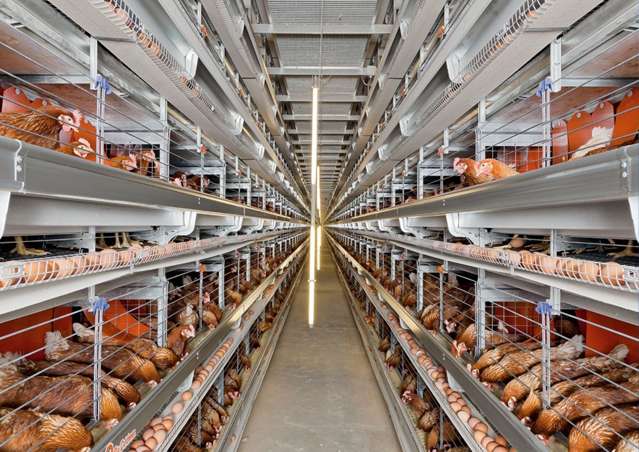 Address withheld Christchurch Surrounds_1