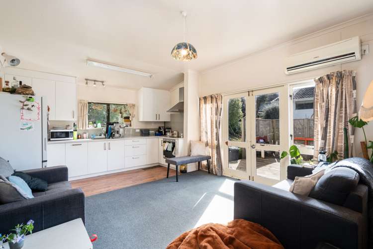 11 Buccleugh Street North East Valley_5