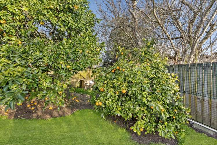 24 Tiraumea Drive Pakuranga_17