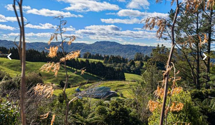 25A Old Kaimai Road Lower Kaimai_15