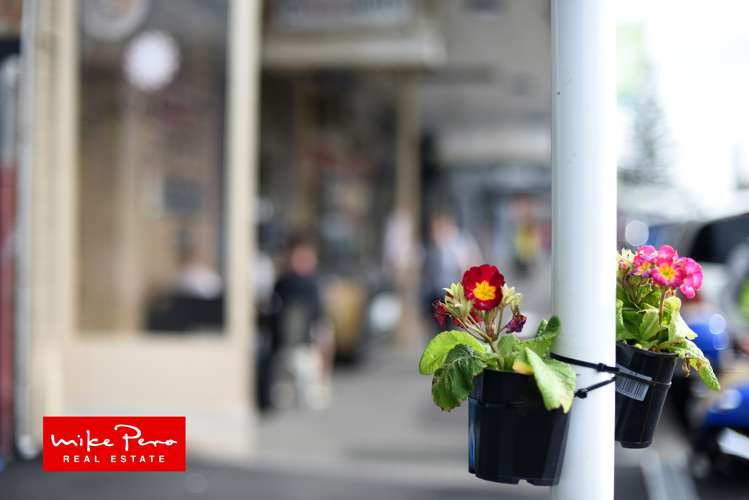 31/2 Cawley Street Ellerslie_18