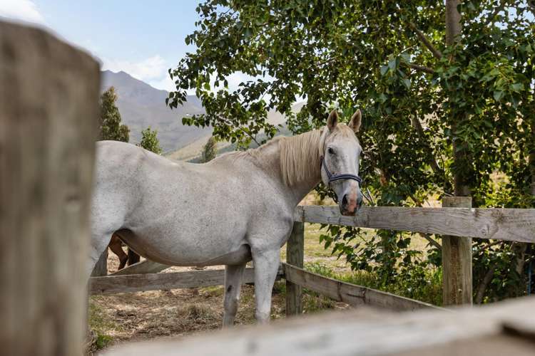 780 Falston Road Totara Peak_38