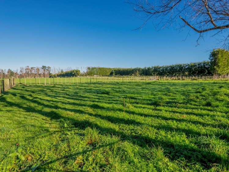 292 Heatherlea East Road Levin_17