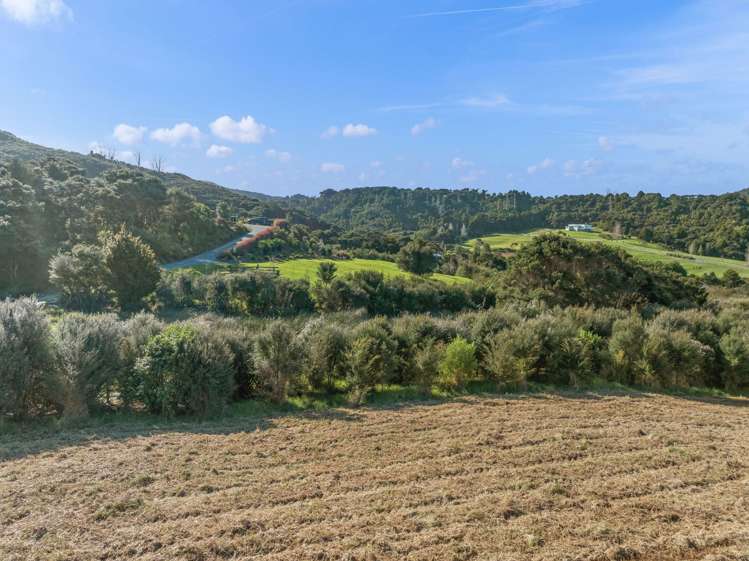 14 Pa Hill Lane Mangawhai_9