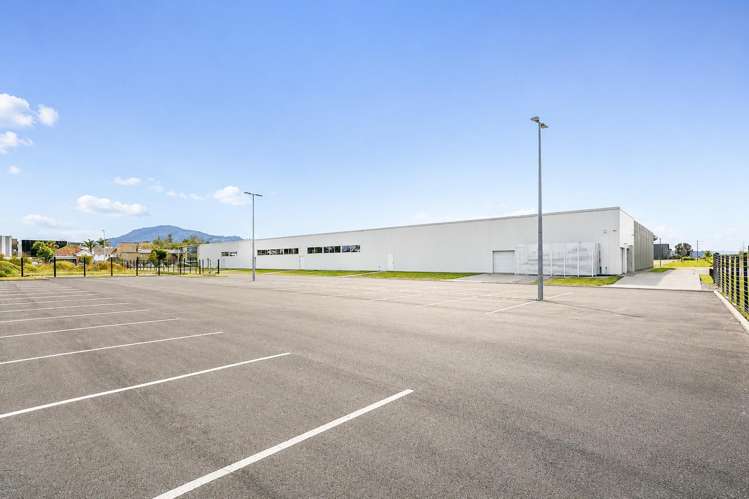 1 Hinemaru Street Rotorua_35