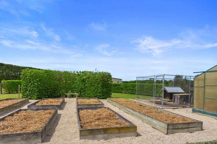 62 Bridge Road Fernside_18