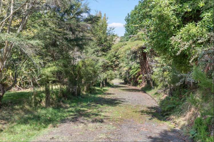 1899a State Highway 23 Whatawhata_17