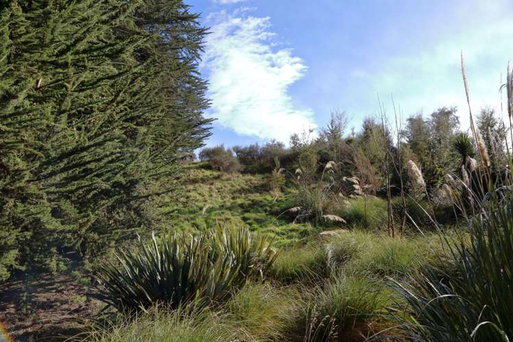 77 Romahapa Road Romahapa_15