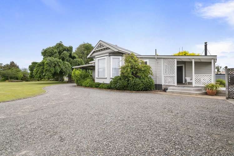 19 Johnson Street Bulls_26