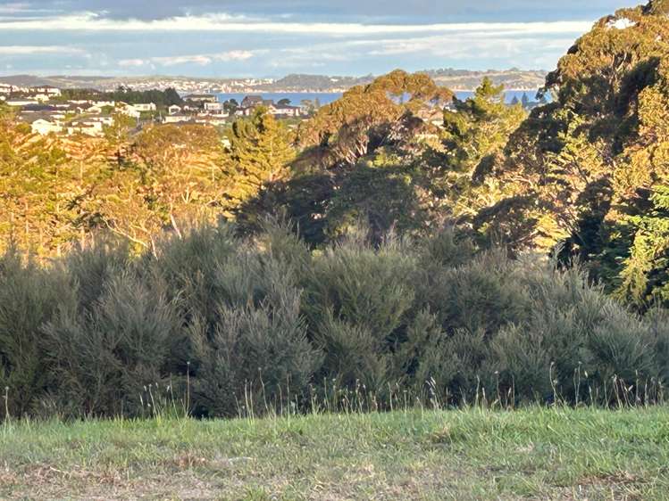 55 Kikorangi Drive Orewa_7