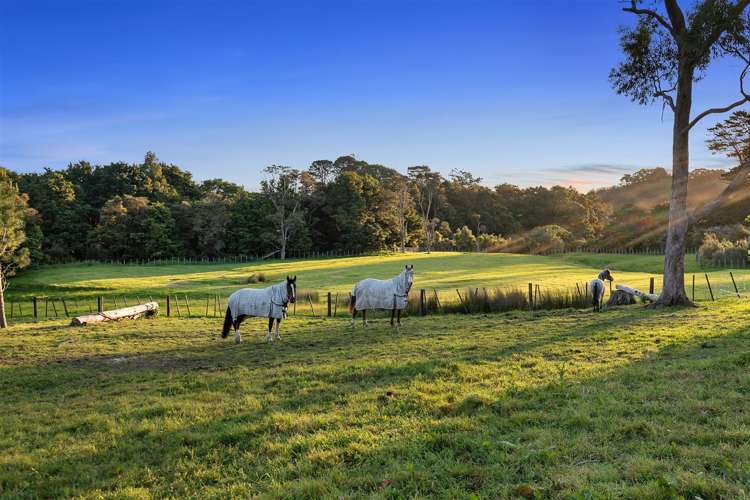 37 Pebble Brook Road Waitoki_22