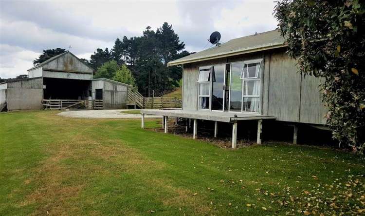 3483 Kaipara Coast Highway Glorit_15