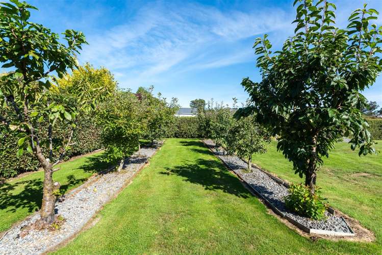 10 John Leith Place Leithfield_23