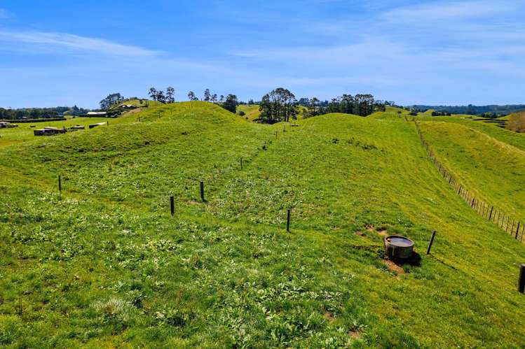 0n Mangorei Road New Plymouth_8