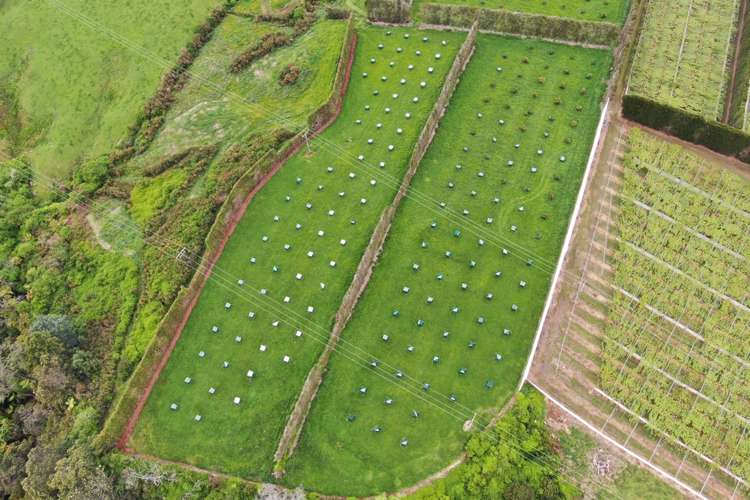 211 Pukekauri Road Waikino_12