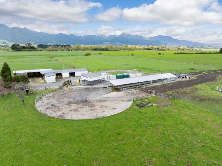 McKinley Road Te Aroha_7