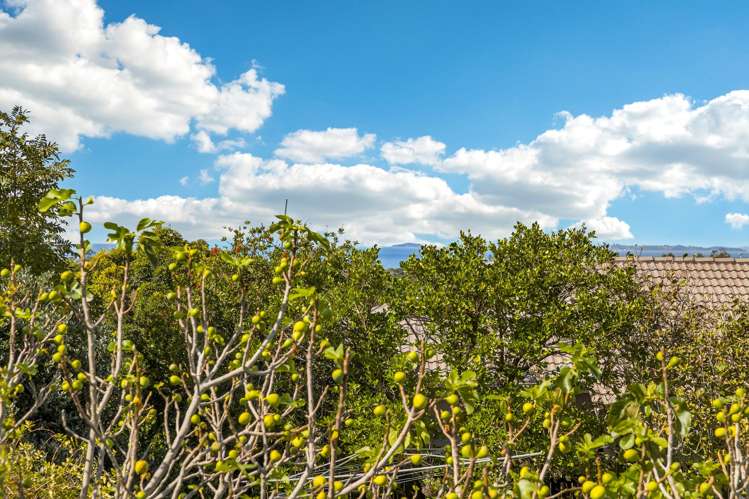 160 Weatherly Road Torbay_34