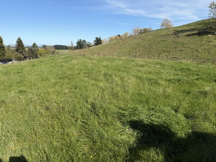 235 Te Ore Ore-Bideford Road Masterton_11