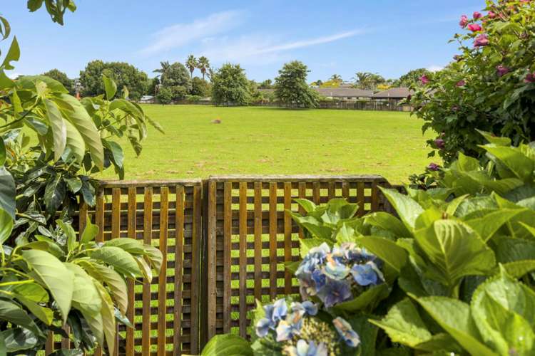 19 Castlehill Court Wattle Downs_11