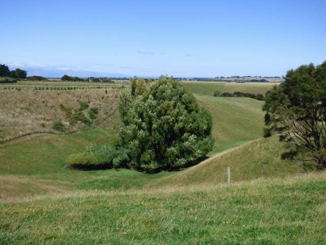 Halcombe Road Feilding_2