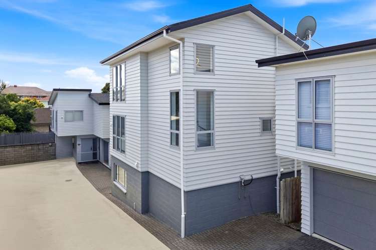 117a White Swan Road Mt Roskill_1