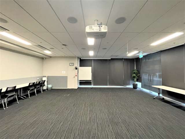 12-16 Nichols Lane Parnell_4