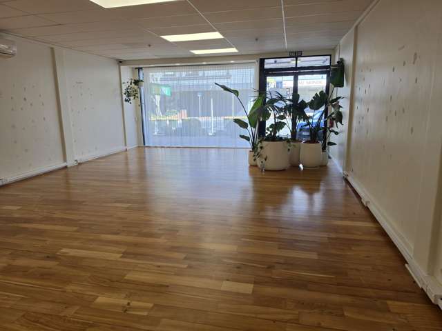 3 Hall Street Pukekohe_1