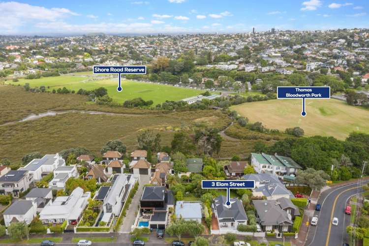 3 Elam Street Parnell_26