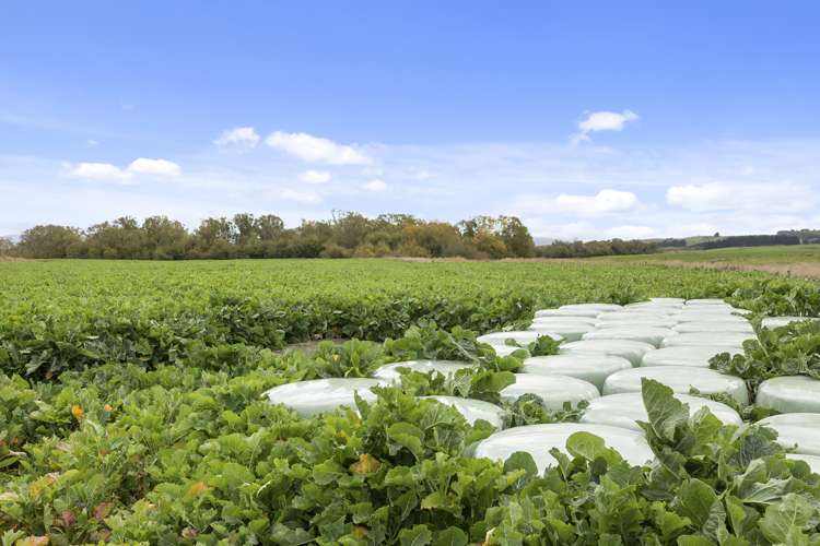 108 Allangrange Road Greenfield_1