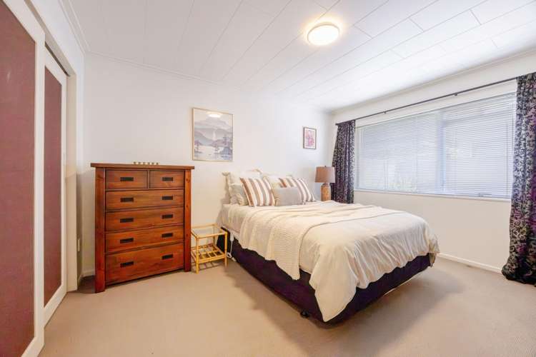 13 Westminster Avenue Tamatea_11