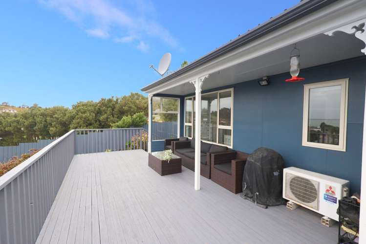 36 Theodore Street Bluff_29