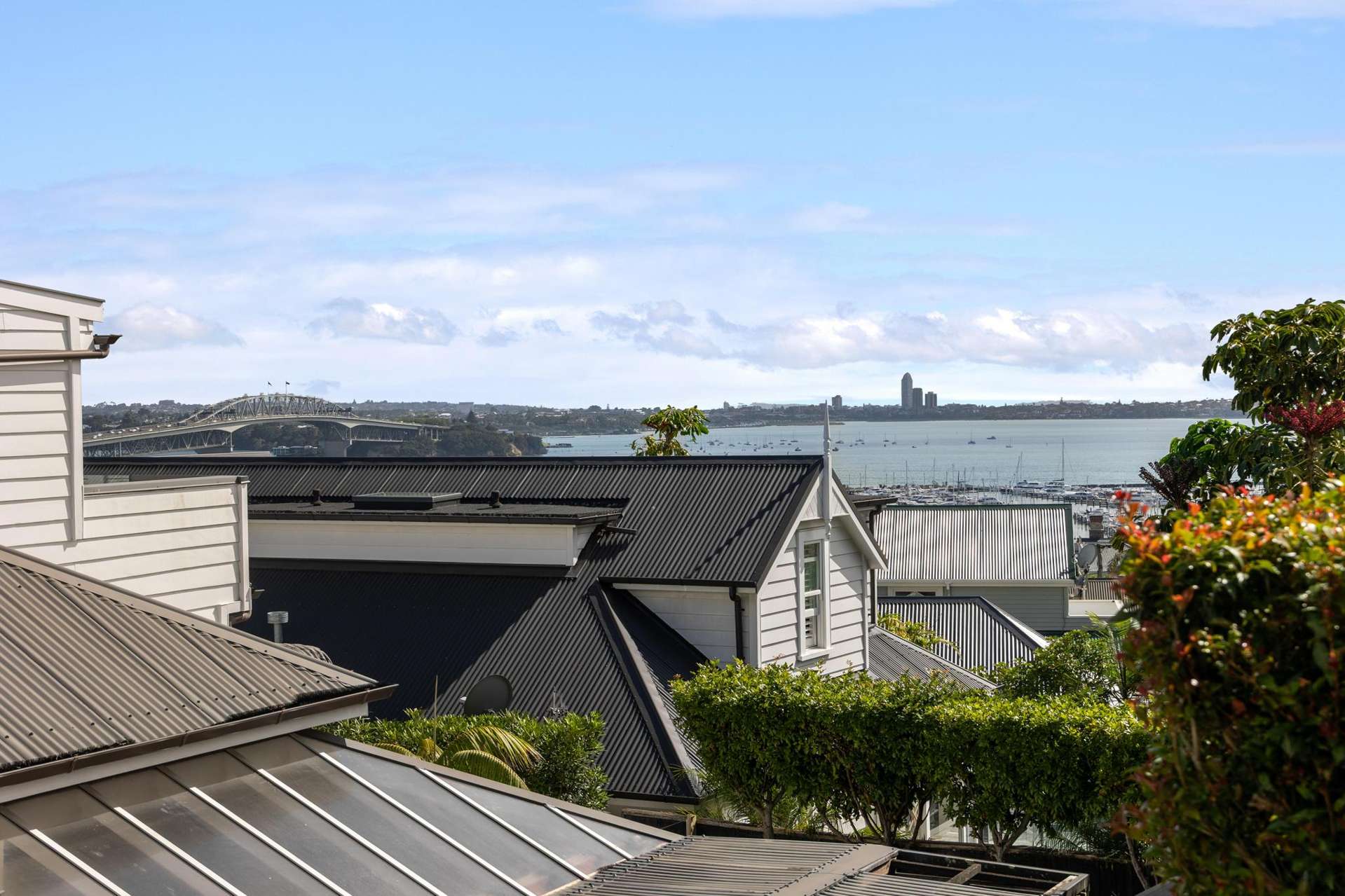 1b Caroline Street Saint Marys Bay_0