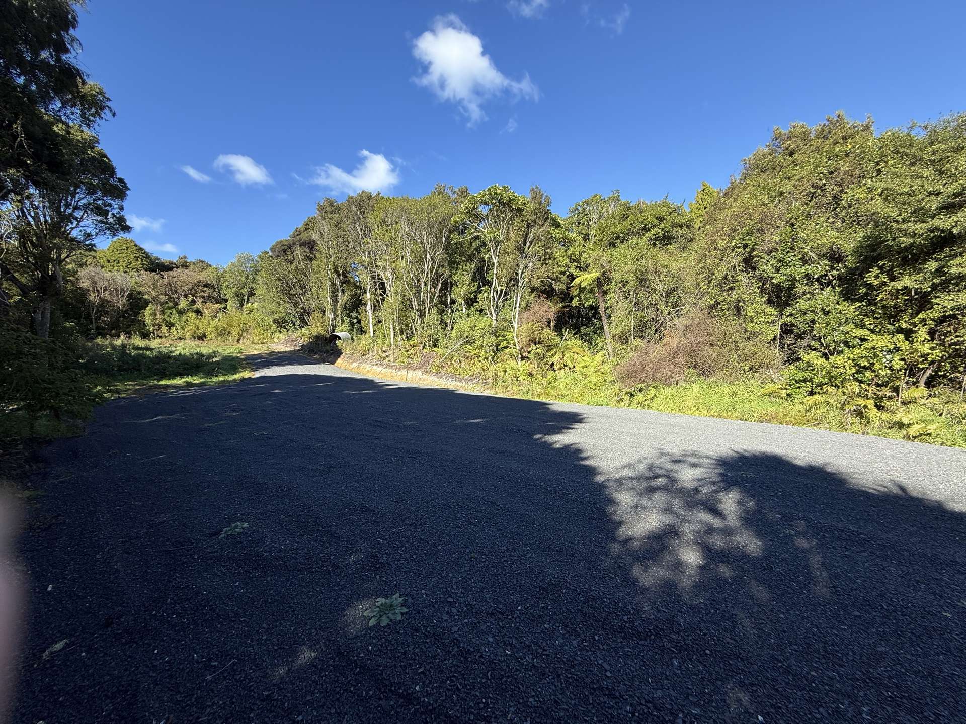 Sec 75 Papatowai Highway Papatowai_0