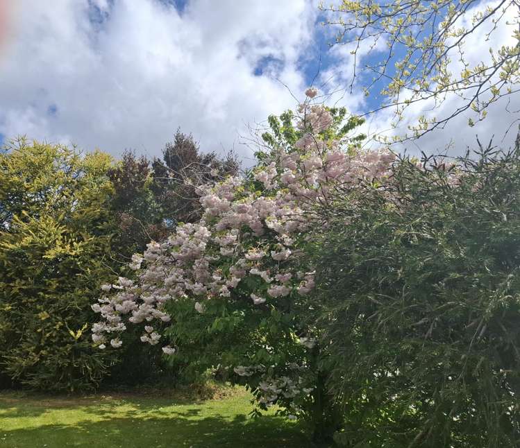 65 Rhodes Street Waimate_26