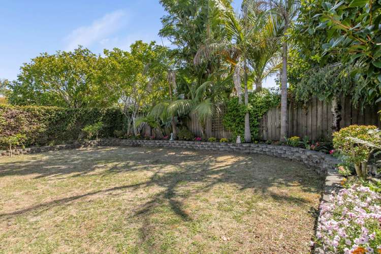 218b Campbell Road Greenlane_7