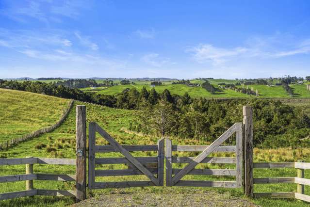 Lot 4/186 Metcalfe Road Matakohe_4