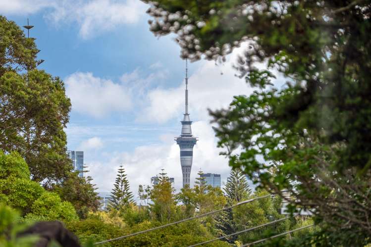 29 North Avenue Devonport_8