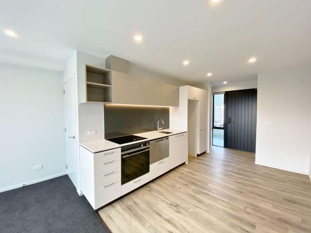 11/45 Dickens St Addington_2