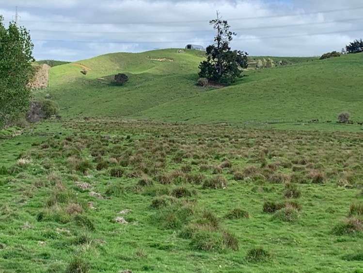 462 Otuiti Road Pukekawa_14