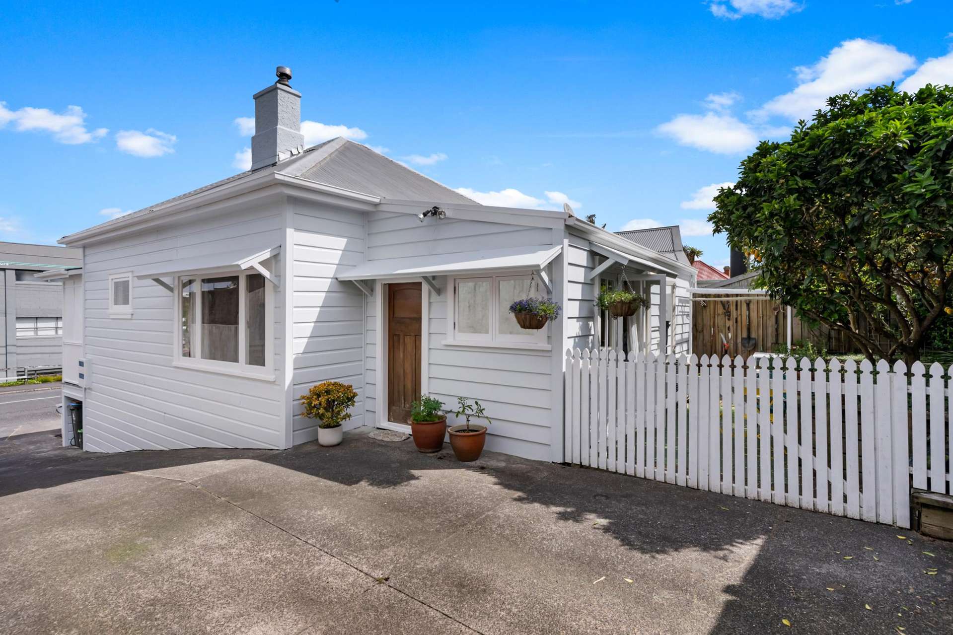 1 Murdoch Road Grey Lynn_0