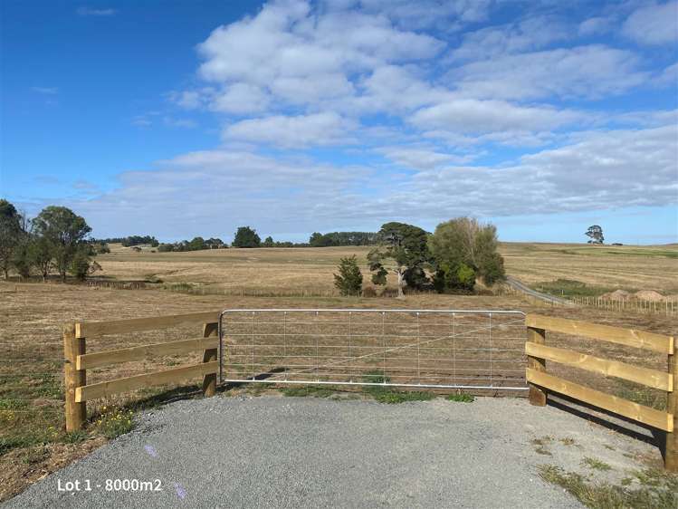 Taukoro Road Morrinsville_5